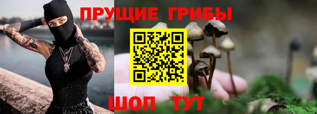 Галлюциногенные грибы мухоморы  Псилоцибиновые грибы Magic Shrooms  Вход с VPN  Казань 